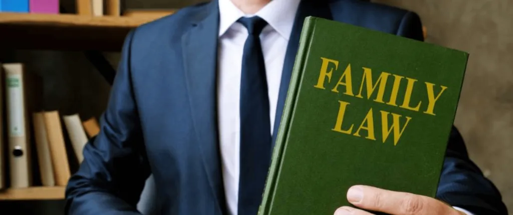 Family Lawyers